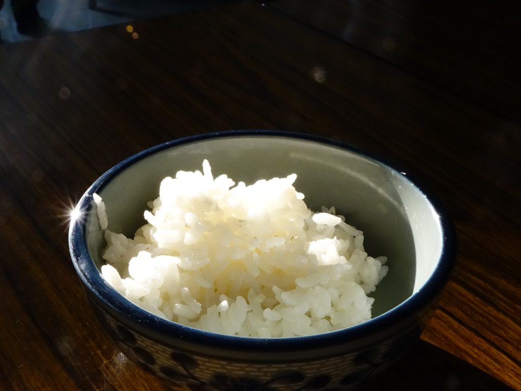 炊きたての美味しいご飯